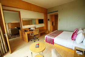 Sayaji Hotel Raipur