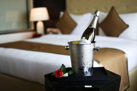 Sayaji Hotel Raipur