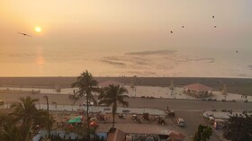 Purple Beds by VITS Daman