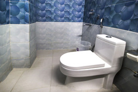 OYO Flagship 12675 Star inn