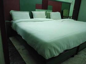 Hotel Green Palace By ADB Rooms