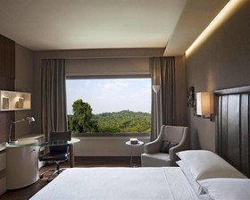 Hyatt Regency Delhi