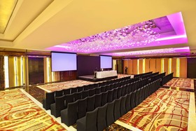 Radisson Blu Plaza Hotel, Delhi Airport