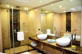 Radisson Blu Plaza Hotel, Delhi Airport