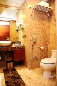 Radisson Blu Plaza Hotel, Delhi Airport