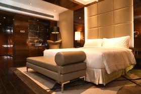 Radisson Blu Plaza Hotel, Delhi Airport