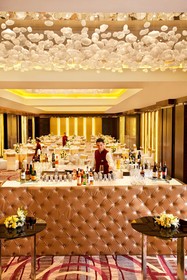 Radisson Blu Plaza Hotel, Delhi Airport