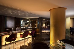 Radisson Blu Plaza Hotel, Delhi Airport