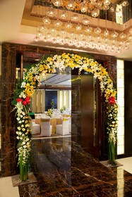 Radisson Blu Plaza Hotel, Delhi Airport