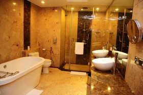 Radisson Blu Plaza Hotel, Delhi Airport