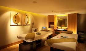 Radisson Blu Plaza Hotel, Delhi Airport