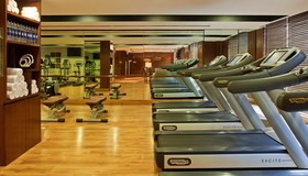 Radisson Blu Plaza Hotel, Delhi Airport