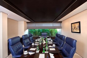 Radisson Blu Plaza Hotel, Delhi Airport