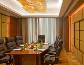 Radisson Blu Plaza Hotel, Delhi Airport