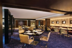 Radisson Blu Plaza Hotel, Delhi Airport