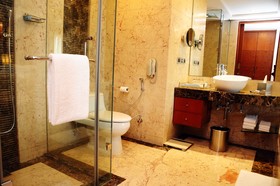 Radisson Blu Plaza Hotel, Delhi Airport