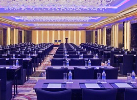 Radisson Blu Plaza Hotel, Delhi Airport