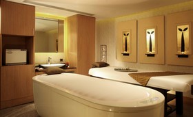 Radisson Blu Plaza Hotel, Delhi Airport