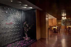 Radisson Blu Plaza Hotel, Delhi Airport