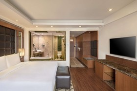 Radisson Blu Plaza Hotel, Delhi Airport