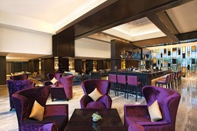 Radisson Blu Plaza Hotel, Delhi Airport