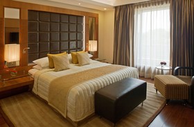 Radisson Blu Plaza Hotel, Delhi Airport