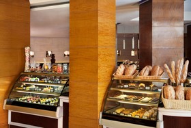 Radisson Blu Plaza Hotel, Delhi Airport