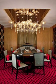 Radisson Blu Plaza Hotel, Delhi Airport