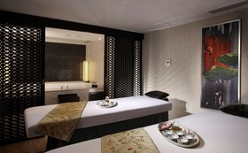 Radisson Blu Plaza Hotel, Delhi Airport