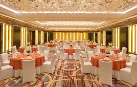 Radisson Blu Plaza Hotel, Delhi Airport