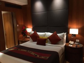 Svelte Delhi  Radisson Individuals