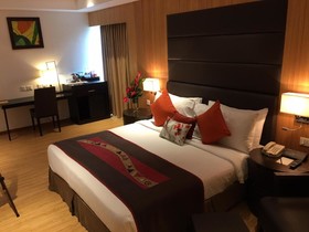 Svelte Delhi  Radisson Individuals
