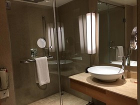 Svelte Delhi  Radisson Individuals
