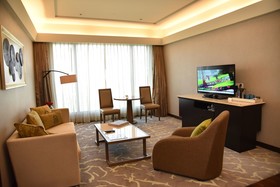 The Leela Ambience Convention Hotel Delhi