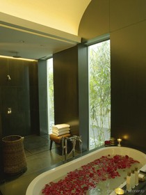 The Lodhi