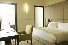 The Lodhi