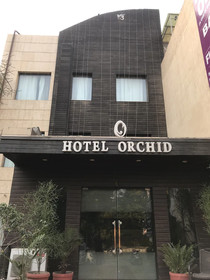 Orchid