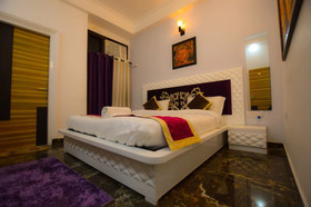 Collection O 50154 Sangvi Palace