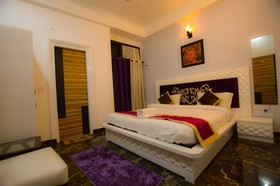 Collection O 50154 Sangvi Palace
