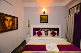 Collection O 50154 Sangvi Palace