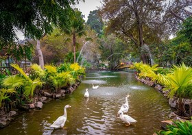 Best Western Resort Country Club