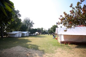 Blowsom Farms