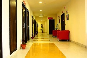 Ginger Manesar