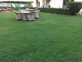 Hotel Ds Mezbaan