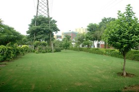 Perch Service Apartments