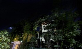 Treebo Trend Mall View