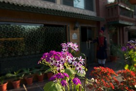 Anila Hotels