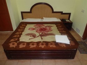 Harjas Palace