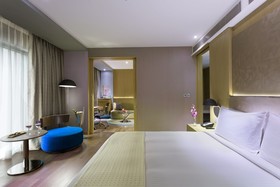 Holiday Inn New Delhi International Airport