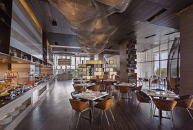 Holiday Inn New Delhi International Airport